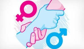 ¿Qué es la Adelphity?